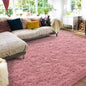 Soft Shag Rugs For Bedroom, Living Room, Luxury Modern Plush Carpet, Non-Slip