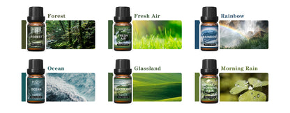 Fragrance Oils Set-Nature Theme | TOP 6 Gift Set Use For Aromatherapy, Diffuser
