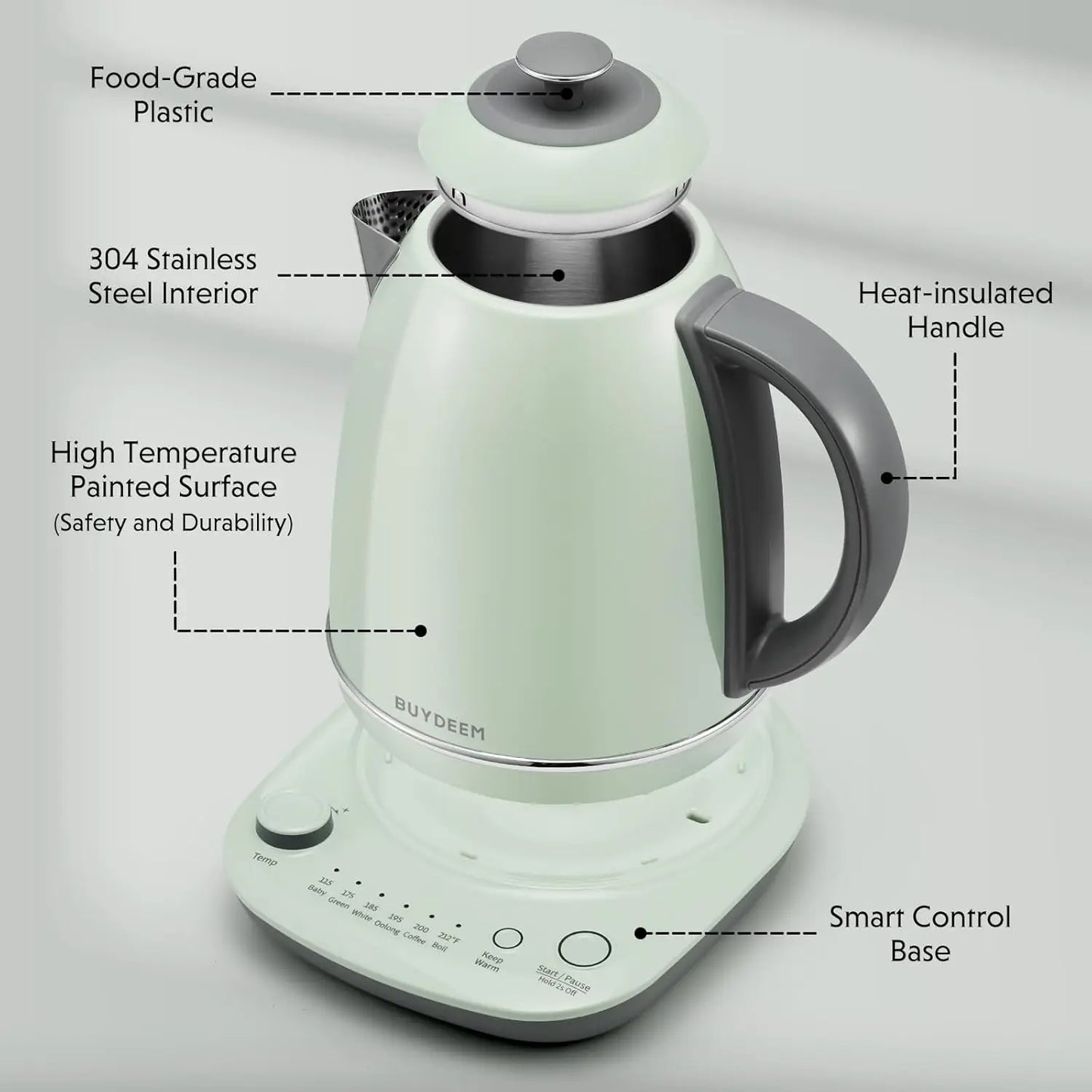 Electric Kettle with Temperature Control, Quick Boil, Stainless Steel