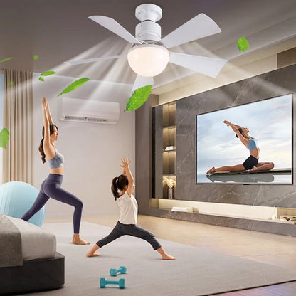30/40W Ceiling Fan With Light, Remote Control Dimming