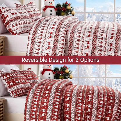 3PCS Christmas Quilt Set King/Queen Size Quilt Set, Winter Blanket, Soft Warm Snowflake Fleece