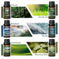 Fragrance Oils Set-Nature Theme | TOP 6 Gift Set Use For Aromatherapy, Diffuser