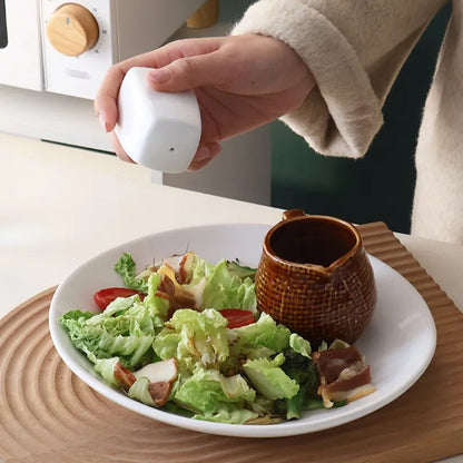 Japanese Simple Black White Ceramics Seasoning Bottle Set, Porcelain Pepper Shaker Salt or Spice