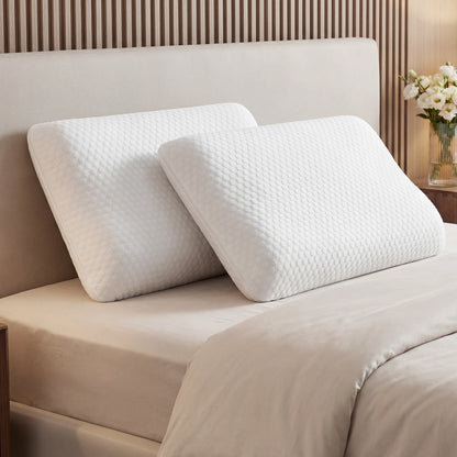 2-pieces Memory Foam Pillows, Standard Size Neck Pillow, Ventilated Cooling Bed Pillow with Removable Washable Cover ,