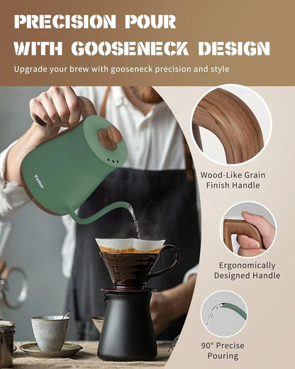 Electric Kettle, 1000W Quick Heating Gooseneck Kettle