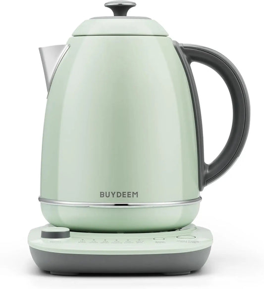 Electric Kettle with Temperature Control, Quick Boil, Stainless Steel