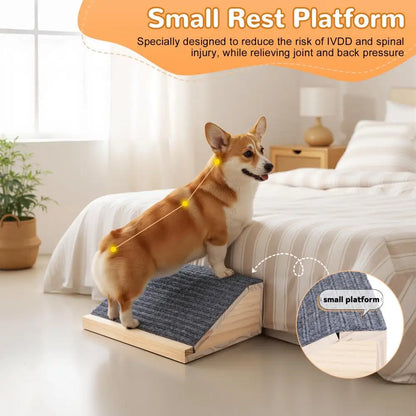 Wooden Pet Ramp, Low Angle for Small Dogs/Cats, Easy Assembly