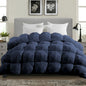 Luxurious All-Season Goose Down Feather Comforter, Duvet Insert