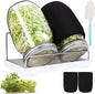 Sprouting Jar Kit 32 Oz – 2 Mason Jars with Lids, Sleeves, Tray & Brush