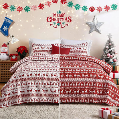 3PCS Christmas Quilt Set King/Queen Size Quilt Set, Winter Blanket, Soft Warm Snowflake Fleece