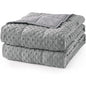 Weighted Blanket Queen Size, 15 lbs, Heavy Minky Blanket, Washable