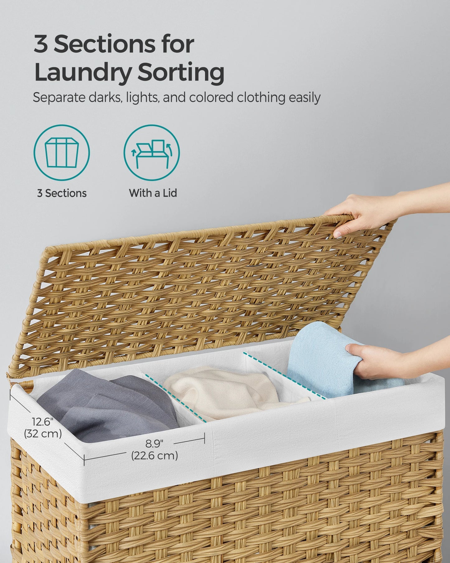 Laundry Hamper with Lid, 42.3 Gallons (160 L), Rolling Basket with Wheels