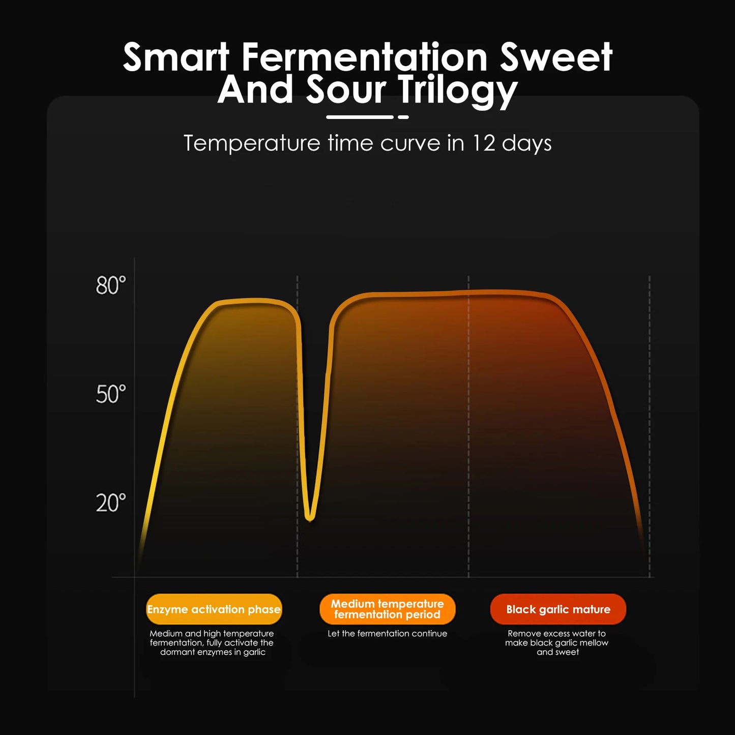 5L Black Garlic Fermenter ,Electric, Smart Automatic Fermentation Machine