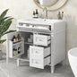 30" Bathroom Vanity with Sink, Modern Single Door, 2 Tip-Out Drawers