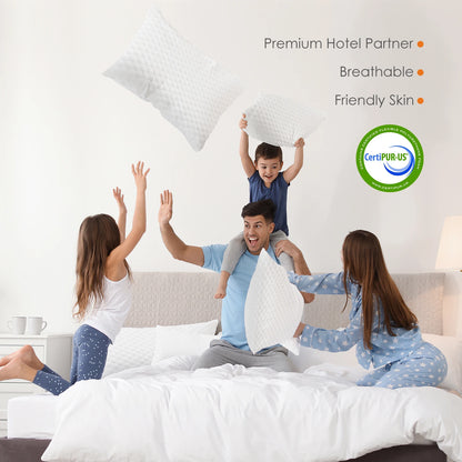 2-pieces Memory Foam Pillows, Standard Size Neck Pillow, Ventilated Cooling Bed Pillow with Removable Washable Cover ,