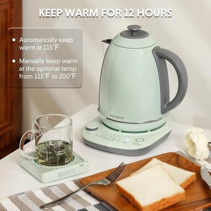 Electric Kettle with Temperature Control, Quick Boil, Stainless Steel