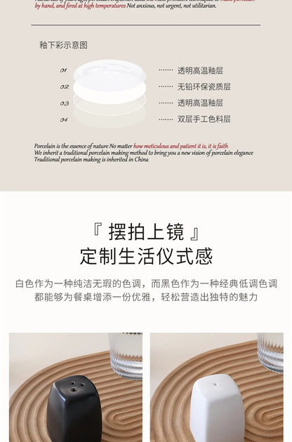 Japanese Simple Black White Ceramics Seasoning Bottle Set, Porcelain Pepper Shaker Salt or Spice