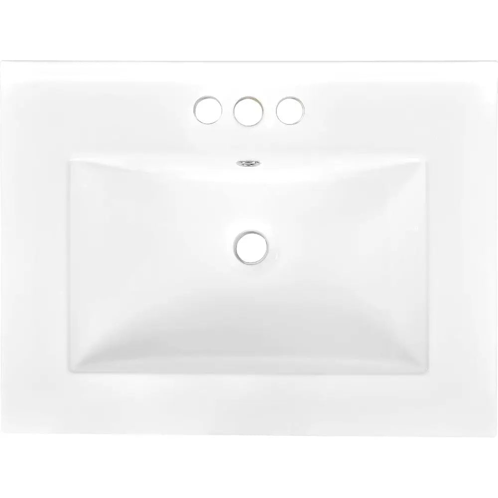 24" Bathroom Vanity with Sink, 2-Door Cabinet, Undermount Sink