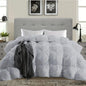 Luxurious All-Season Goose Down Feather Comforter, Duvet Insert