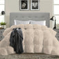 Luxurious All-Season Goose Down Feather Comforter, Duvet Insert