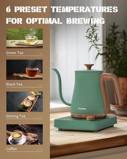 Electric Kettle, 1000W Quick Heating Gooseneck Kettle